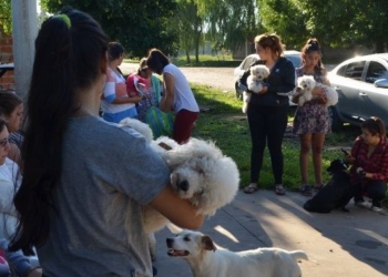 El quirófano móvil estará disponible en Timbúes para castraciones