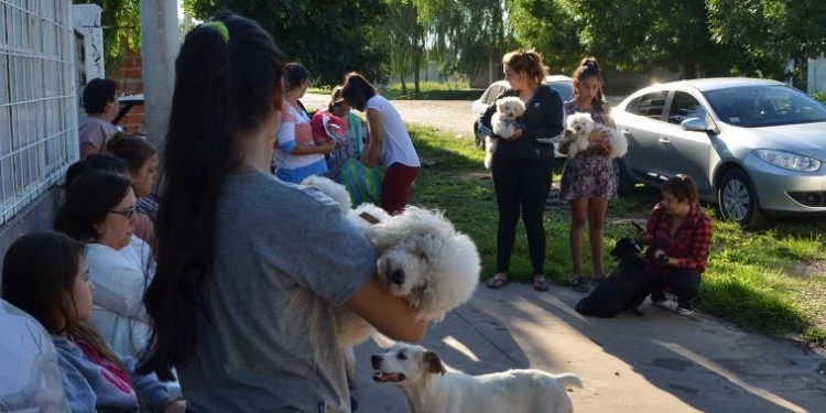 El quirófano móvil estará disponible en Timbúes para castraciones