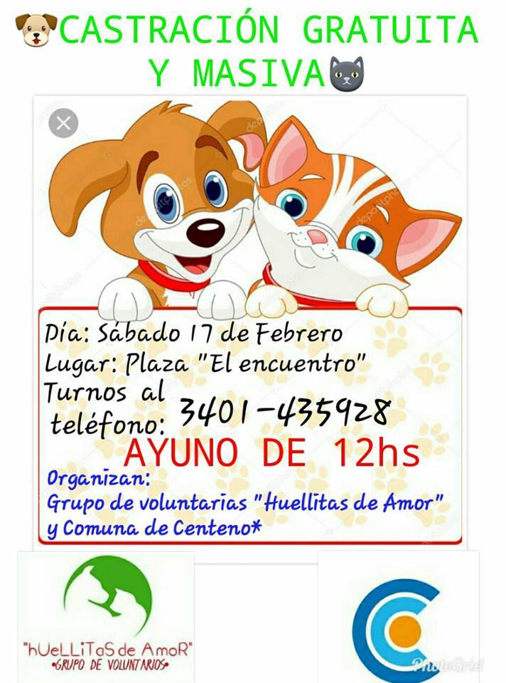 Centeno: nueva castración masiva y gratuita