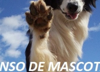 Realizarán un censo de animales en Solares del Carcarañá