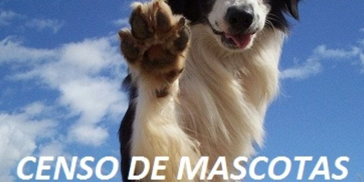 Realizarán un censo de animales en Solares del Carcarañá