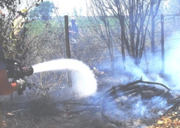 Importante incendio obligó a cortar la ruta en Oliveros