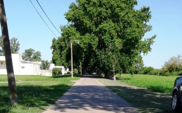 Hallaron sin vida a un paciente de la Colonia Psiquiátrica de Oliveros