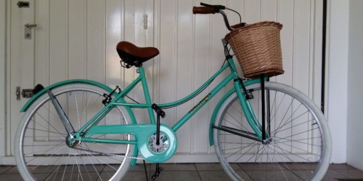Robaron una bicicleta en la puerta de una casa en Maciel