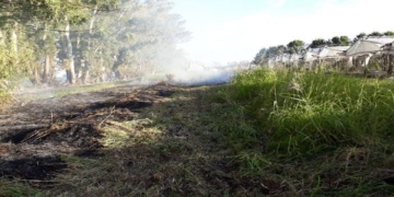 Incendio de pastizales afectó a la famosa quinta «La Moya»