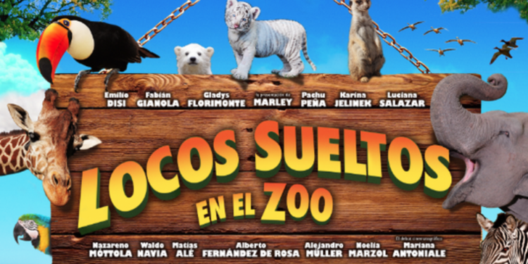 Maciel cerrará este jueves el ciclo de «Cine Luna»