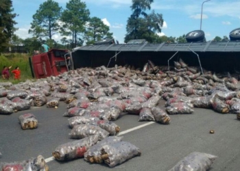 Un camión cargado con papas volcó en la autopista Rosario Santa Fe