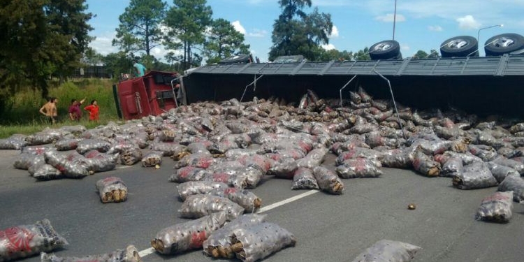 Un camión cargado con papas volcó en la autopista Rosario Santa Fe