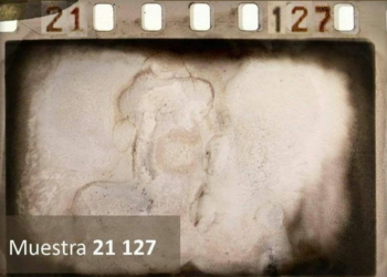 El museo de Totoras presentará la muestra “21-127”