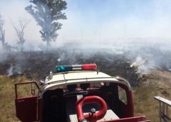 Imponente incendio forestal a la vera de la Ruta 91