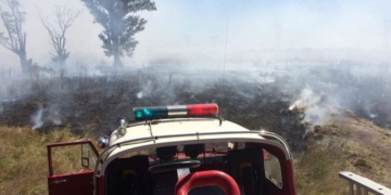 Imponente incendio forestal a la vera de la Ruta 91