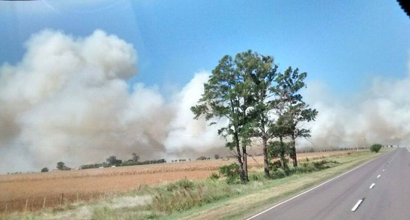 Se incendiaron 150 hectáreas entre San Genaro y Díaz