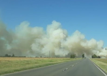 Se incendiaron 150 hectáreas entre San Genaro y Díaz