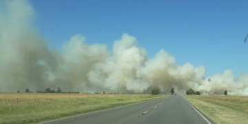 Se incendiaron 150 hectáreas entre San Genaro y Díaz