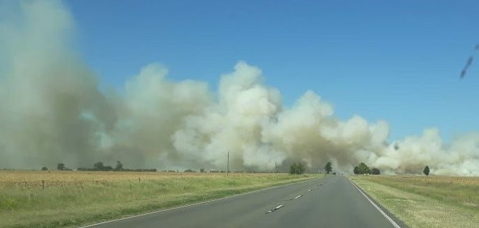 Se incendiaron 150 hectáreas entre San Genaro y Díaz