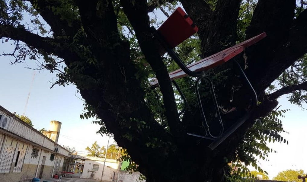 Jefe comunal de la región pidió disculpas por vandalismo causado por su hijo