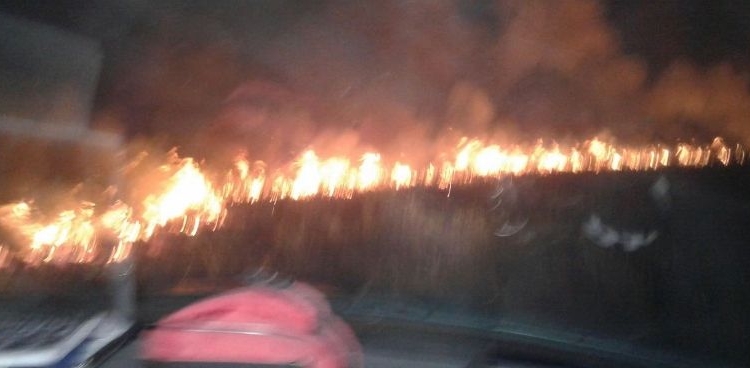 Cinco dotaciones de bomberos trabajaron diez horas para apagar un incendio descontrolado