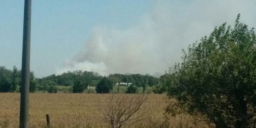 Bomberos de Serodino y Oliveros controlaron un incendio en Andino