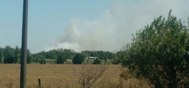 Bomberos de Serodino y Oliveros controlaron un incendio en Andino