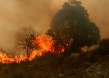 Otro incendio de magnitud demandó horas de trabajo de bomberos