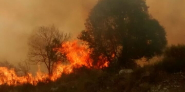 Otro incendio de magnitud demandó horas de trabajo de bomberos
