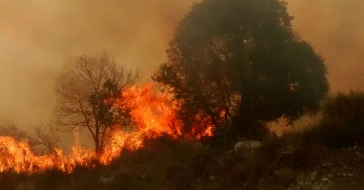 Otro incendio de magnitud demandó horas de trabajo de bomberos