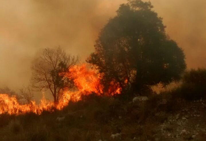 Otro incendio de magnitud demandó horas de trabajo de bomberos