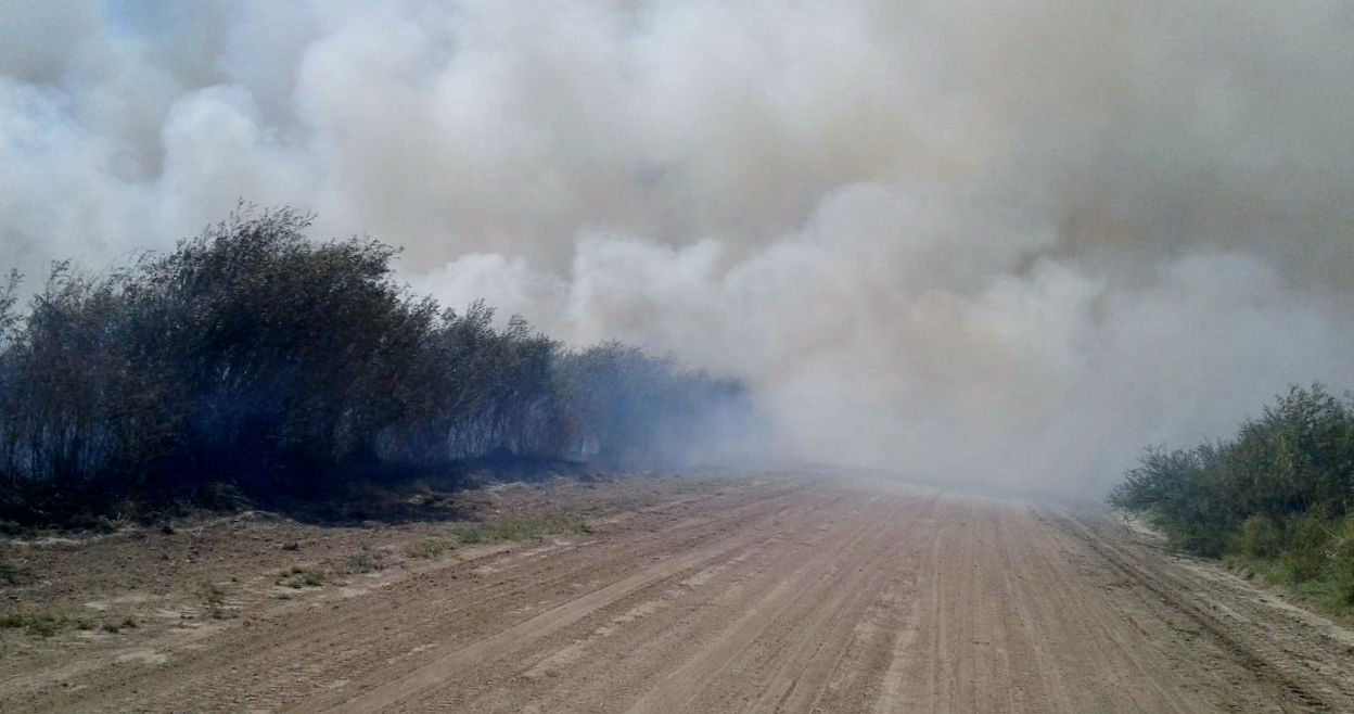 Otro incendio de magnitud demandó horas de trabajo de bomberos