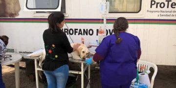 Maciel recibirá al móvil de castraciones para una campaña masiva