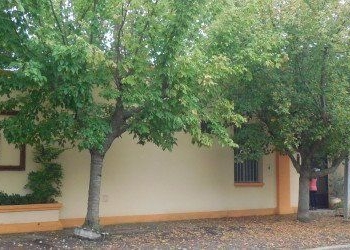 El Jardín N° 100 de Maciel inaugurará un nuevo período de clases