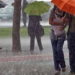Alerta por probabilidad de lluvias y tormentas intensas