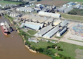 Alerta en la región: aceiteros duplican la tasa de cáncer de la población