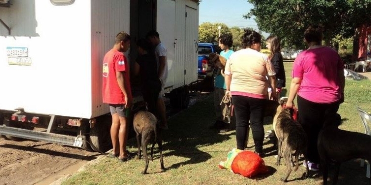 Dos localidades de la región anunciaron una nueva campaña de castración