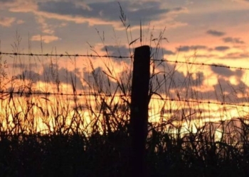 Alerta meteorológico: lluvias y tormentas podrían volver a la región