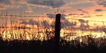 Alerta meteorológico: lluvias y tormentas podrían volver a la región