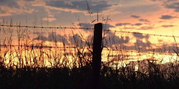Alerta meteorológico: lluvias y tormentas podrían volver a la región