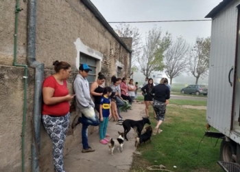 Más de 20 mascotas castradas en Clarke en una nueva campaña