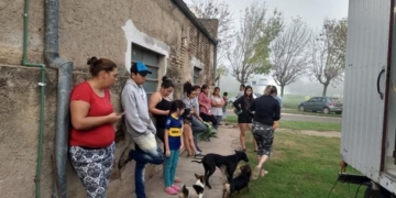 Más de 20 mascotas castradas en Clarke en una nueva campaña