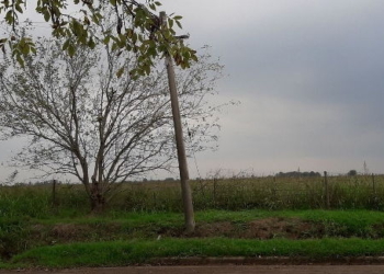 Cesó el alerta para el sur de Santa Fe aunque se mantiene «bajo vigilancia»