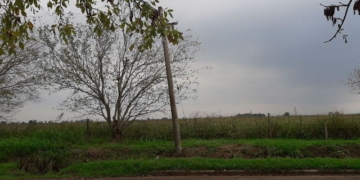 Cesó el alerta para el sur de Santa Fe aunque se mantiene «bajo vigilancia»