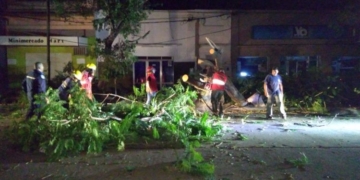 Temporal de viento: Totoras, Salto Grande y Las Rosas las más afectadas