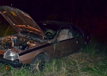 Intentó esquivar un perro y terminó volcando