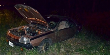 Intentó esquivar un perro y terminó volcando