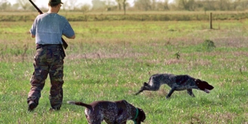 Clarke: trasladaron a ocho personas que cazaban de manera irregular