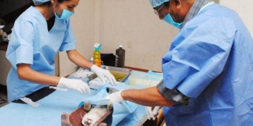 Barrancas: llegará una nueva campaña de castración animal