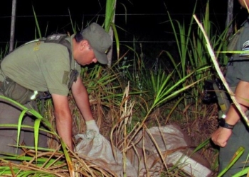 Gendarmería demoró a cuatro cazadores con armas y 30 patos