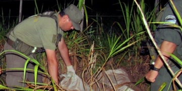 Gendarmería demoró a cuatro cazadores con armas y 30 patos