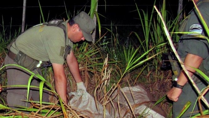 Gendarmería demoró a cuatro cazadores con armas y 30 patos