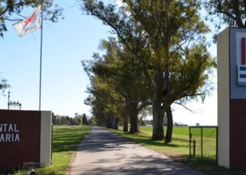 INTA Oliveros invita a conocer los beneficios de la forestación