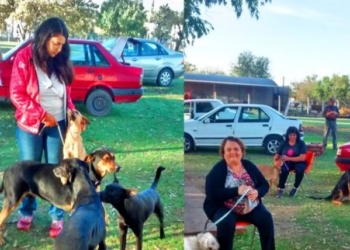 Serodino: castraron más de 250 mascotas en lo que va del año